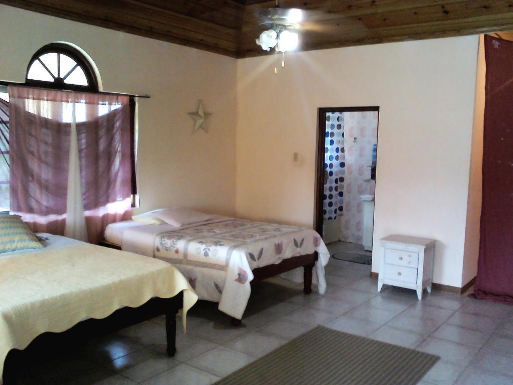 Drapers Dolphin Bay Yoga Guest House חדר תמונה