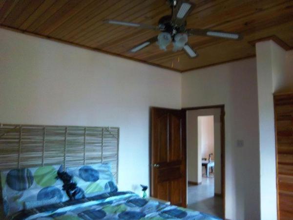 Drapers Dolphin Bay Yoga Guest House מראה חיצוני תמונה