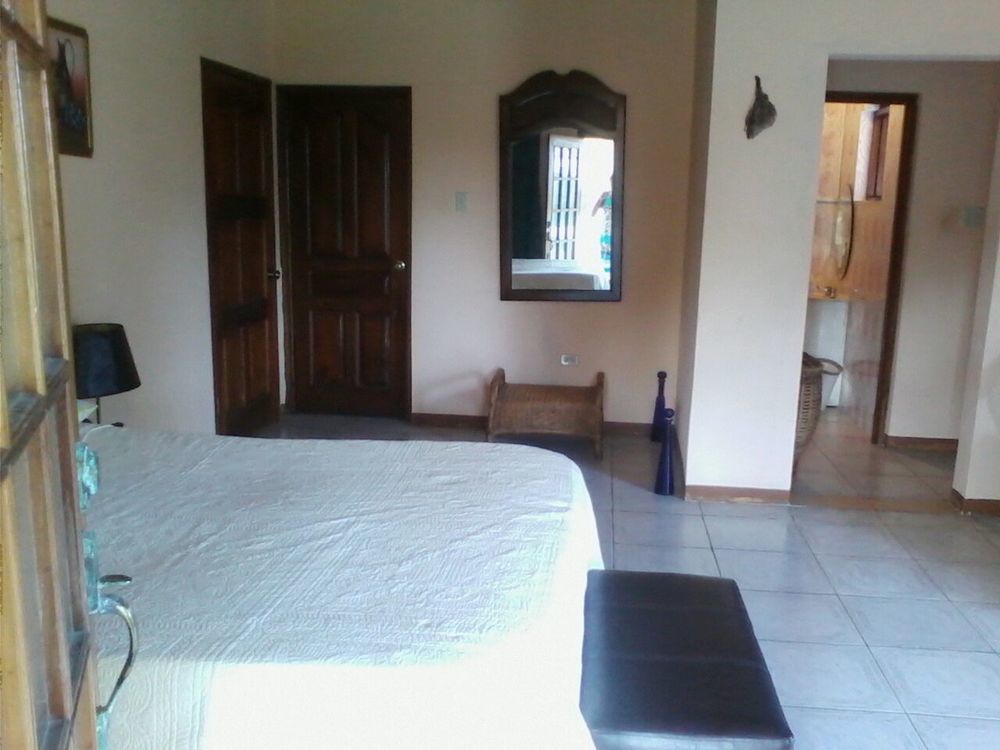 Drapers Dolphin Bay Yoga Guest House מראה חיצוני תמונה